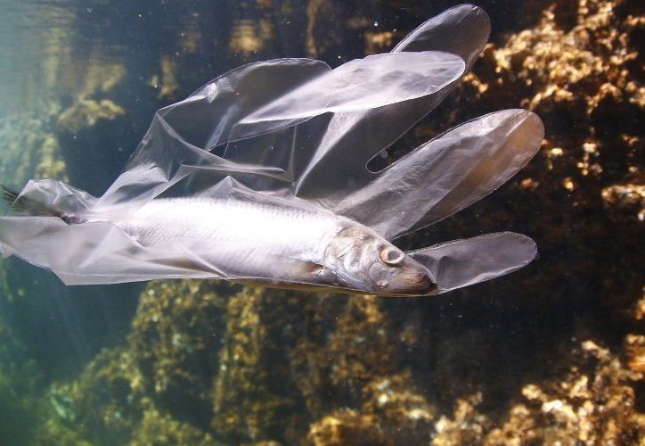 5 pasos para reducir el uso del plástico