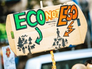 cartel eco