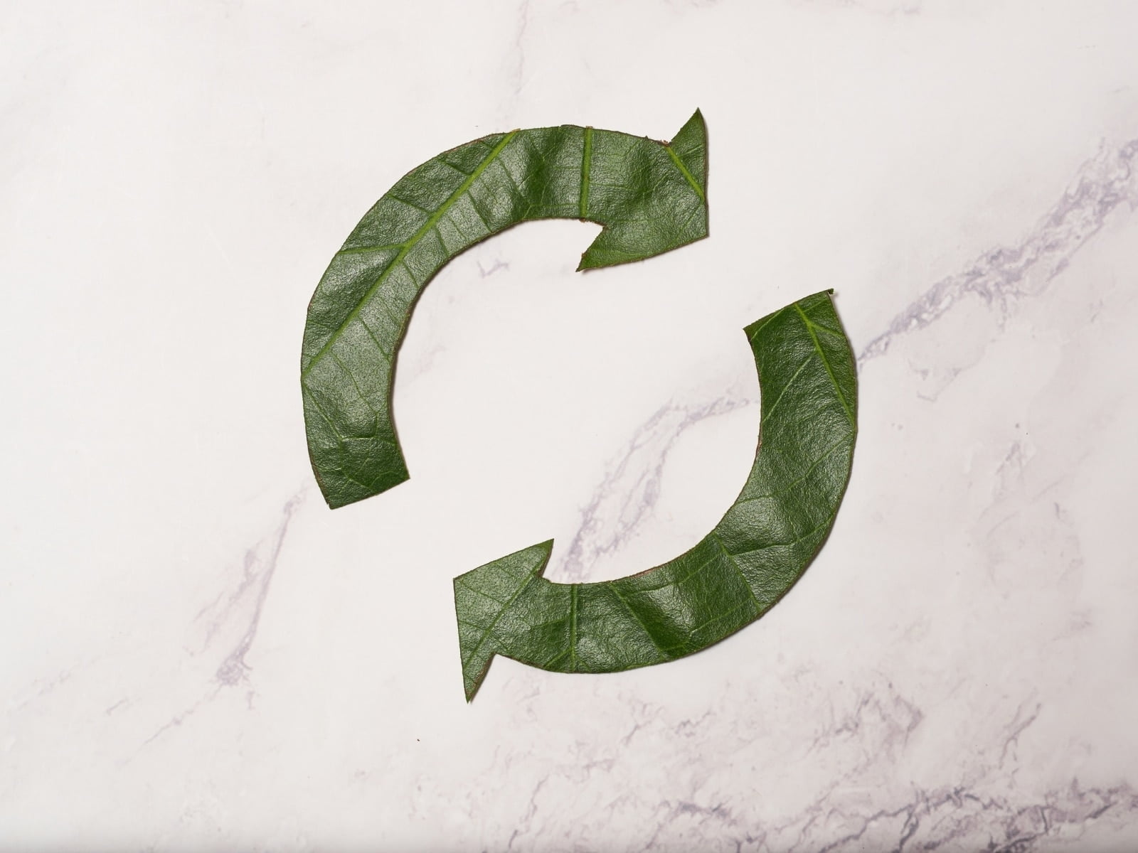 Economía Circular