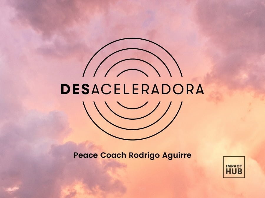 Desaceleradora 2023