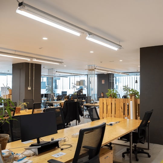 Inicio 2022 7 Inicio 2022