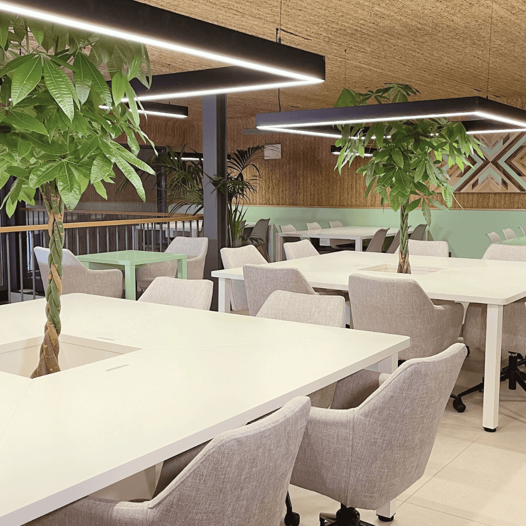 Impact Hub Piamonte 1 Impact Hub Piamonte