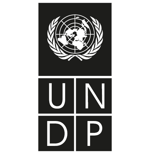 Consultoría y proyectos 13 Consultoría y proyectos