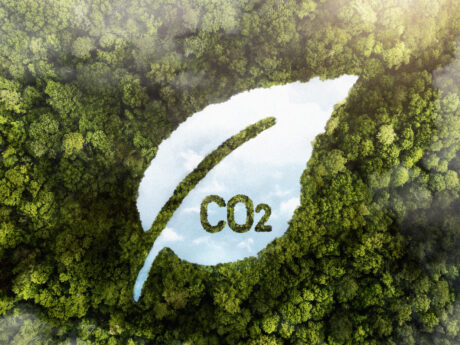 Impact Hub Madrid renueva la certificación CeroCO2 por quinto año consecutivo y reduce sus emisiones en un 40%