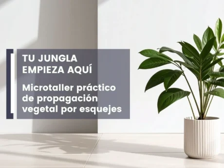 Microtaller práctico: de propagación vegetal por esquejes