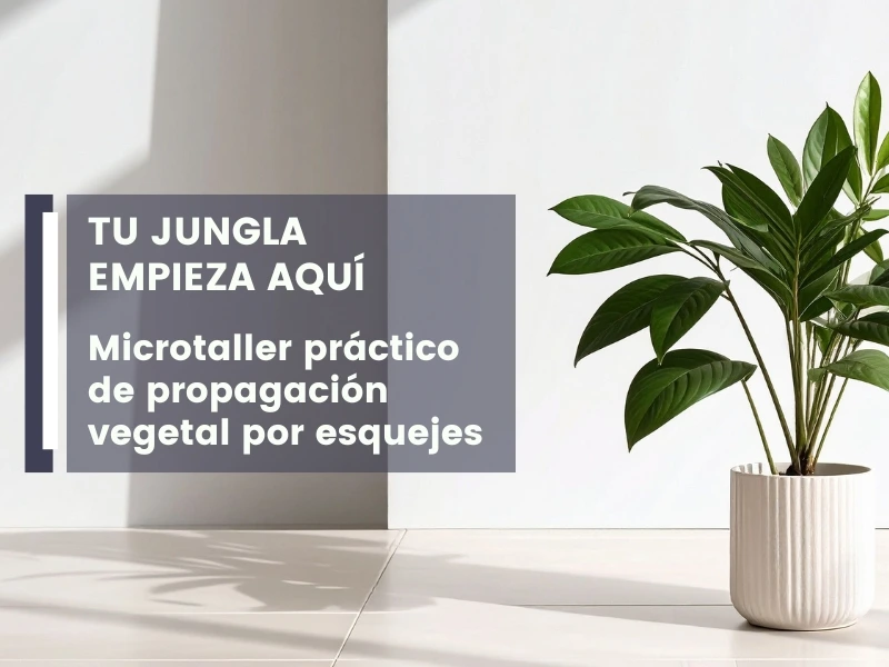 Microtaller práctico: de propagación vegetal por esquejes