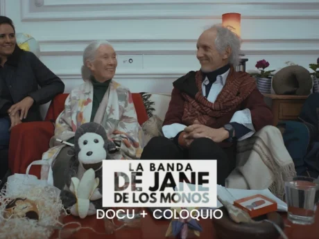 Proyección documental "La banda de Jane de los monos" y coloquio con su director Boy Olmi