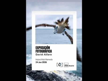 Exposición fotográfica de David Alfaro