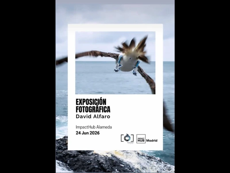 Exposición fotográfica de David Alfaro
