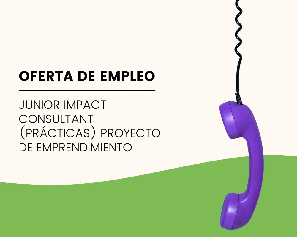 Junior Impact Consultant