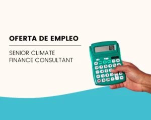 Senior Climate Finance Consultant